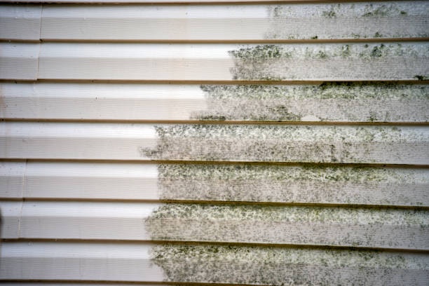 Gevelreiniging - detail view